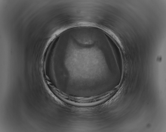 X0000098071381200804251428