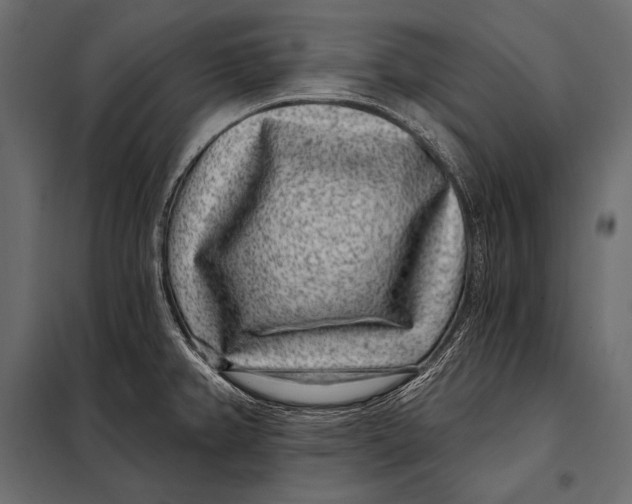 X0000098071382200804251428