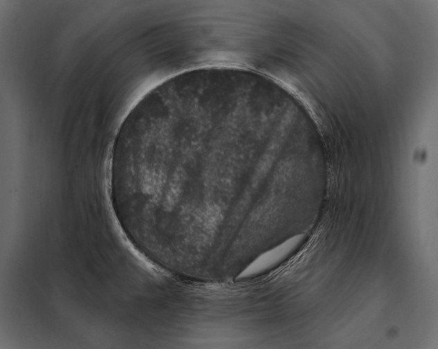 X0000098071383200804251428