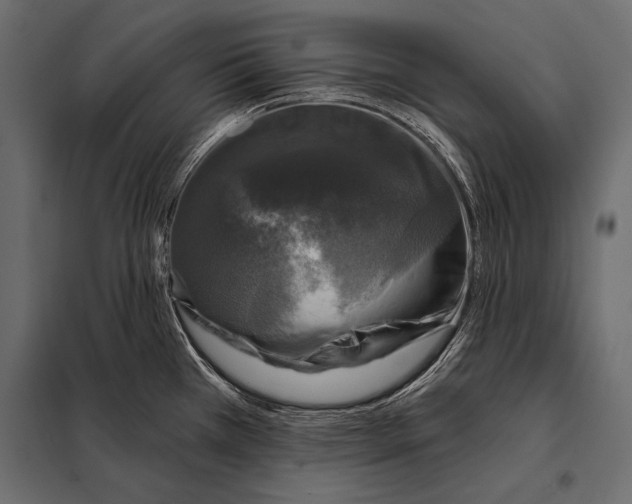 X0000098071385200804251428