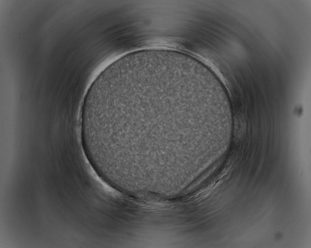 X0000098071387200804251428