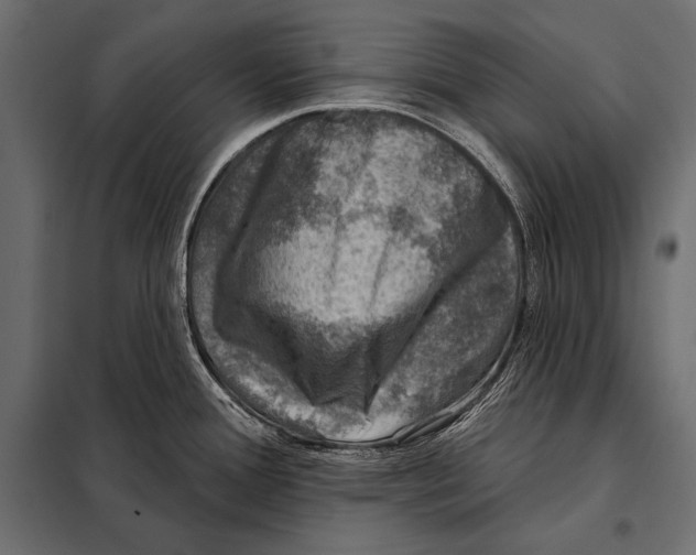 X0000098071388200804251428