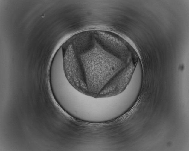 X0000098071389200804251428