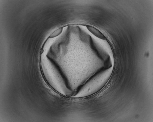 X0000098071390200804251428