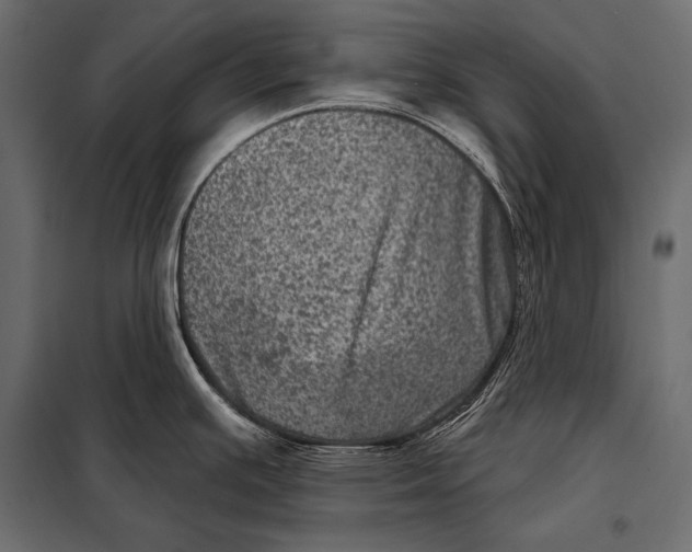 X0000098071391200804251428