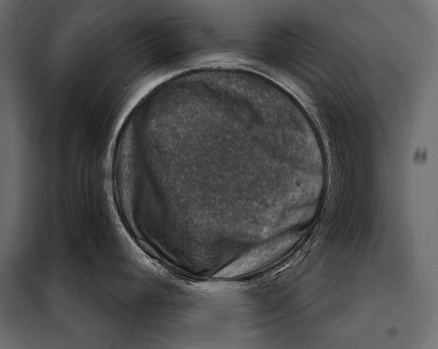 X0000098071392200804251428