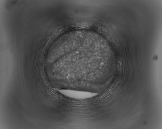 X0000098071393200804251427