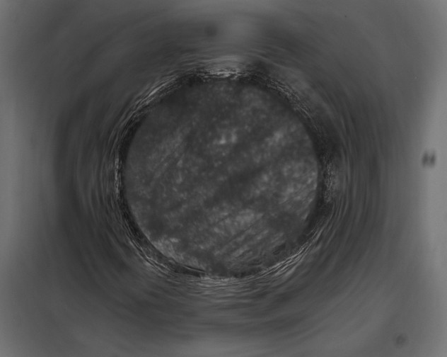 X0000098071394200804251427