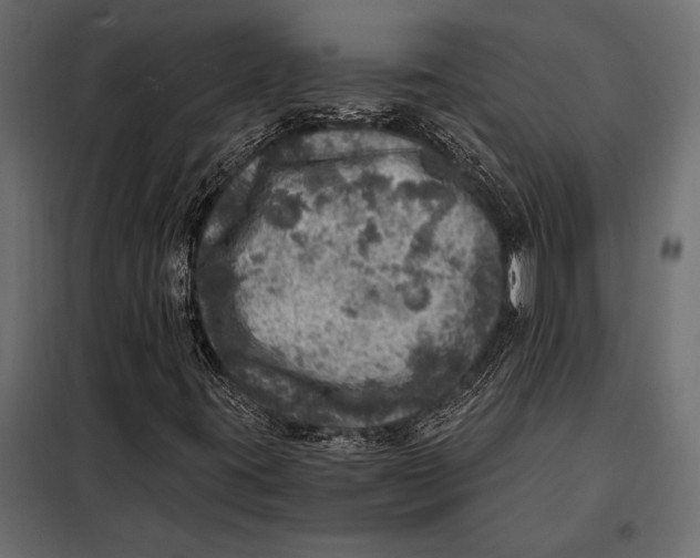 X0000098071395200804251427