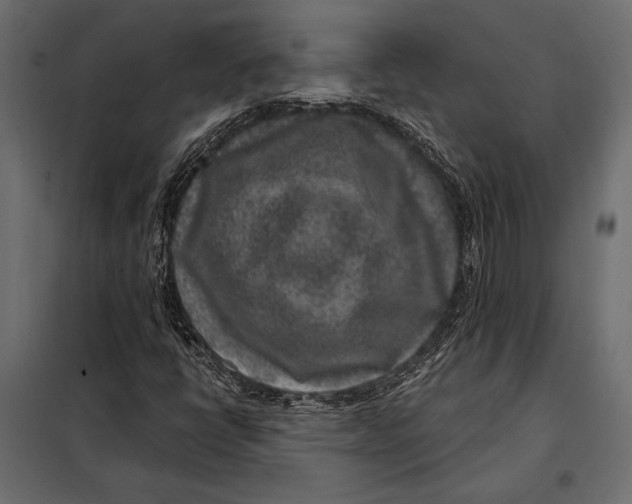 X0000098071398200804251427