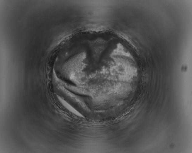 X0000098071399200804251427