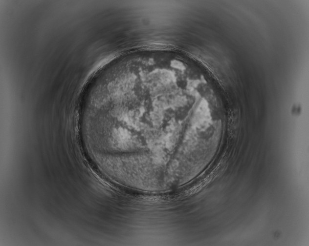 X0000098071402200804251427