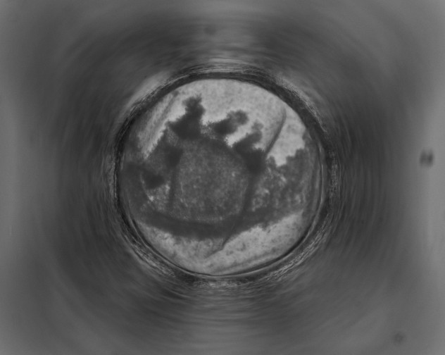 X0000098071403200804251427