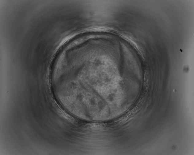 X0000098071404200804251427