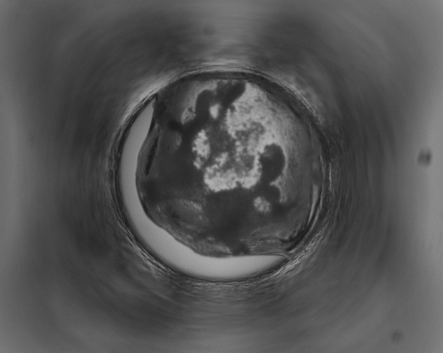 X0000098071405200804251427