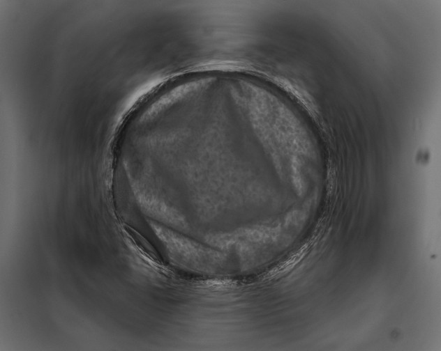 X0000098071406200804251427