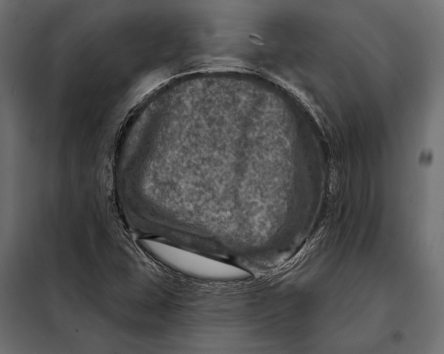 X0000098071407200804251427