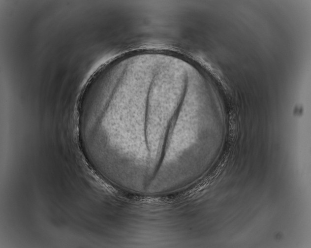 X0000098071408200804251427