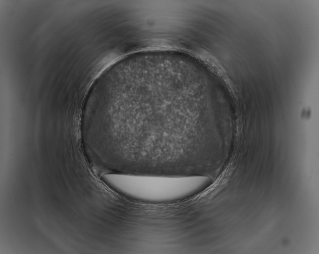 X0000098071409200804251427