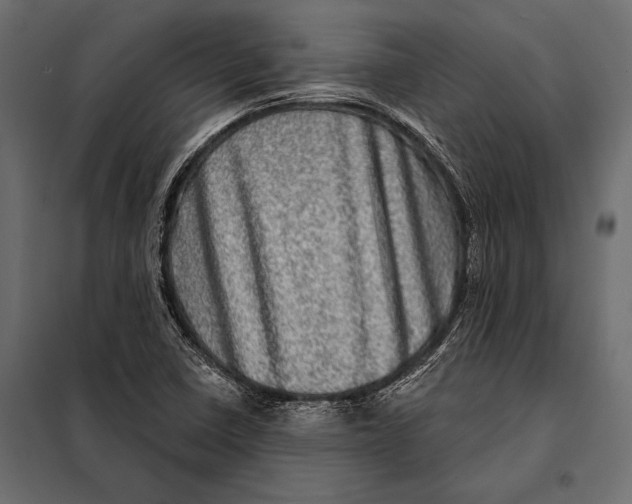 X0000098071410200804251427