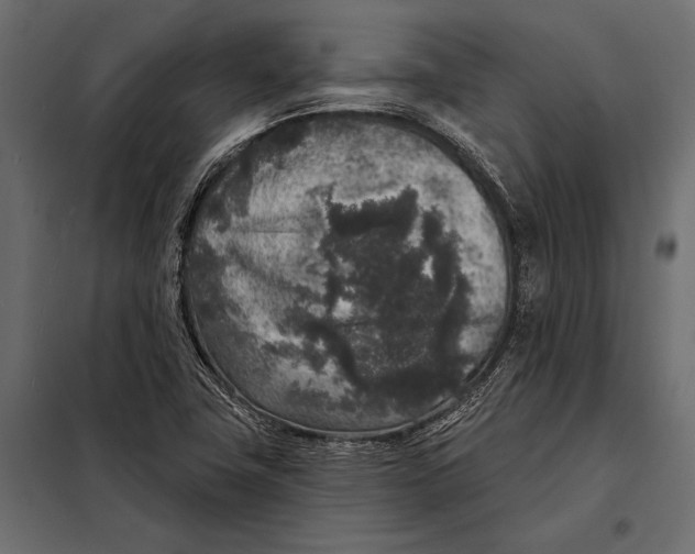 X0000098071411200804251427