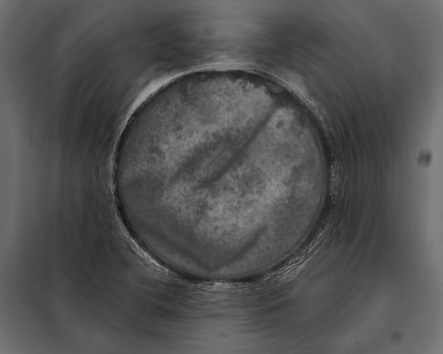 X0000098071412200804251427