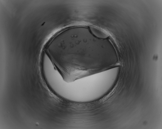 X0000098071414200804251428