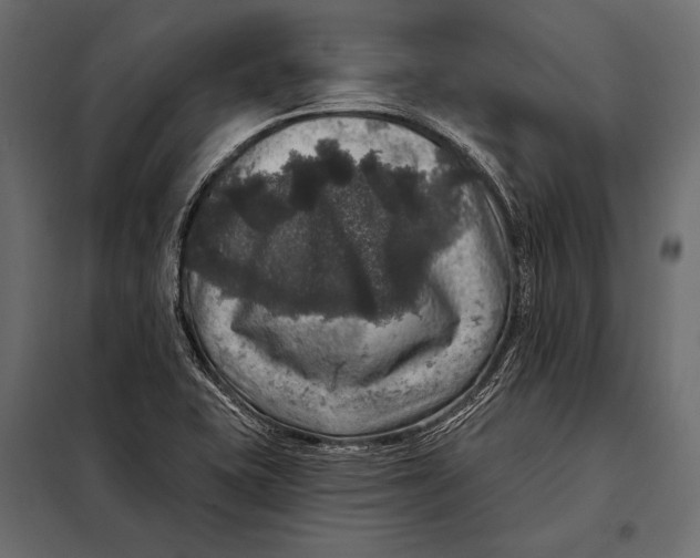 X0000098071415200804251428