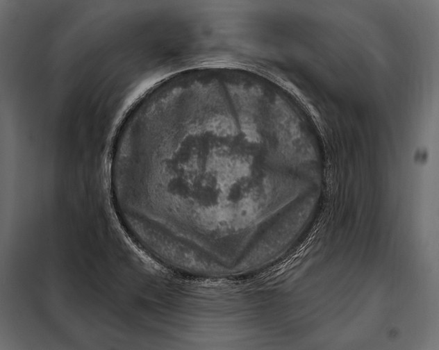 X0000098071416200804251428