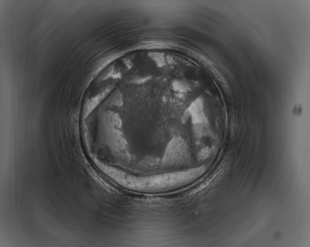 X0000098071417200804251428