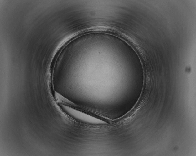 X0000098071418200804251428