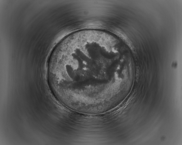 X0000098071419200804251428