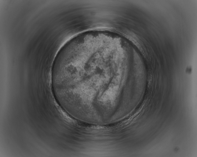 X0000098071420200804251428