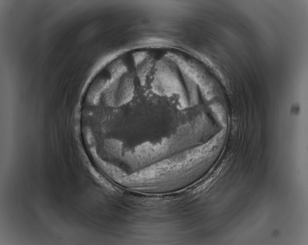 X0000098071421200804251428