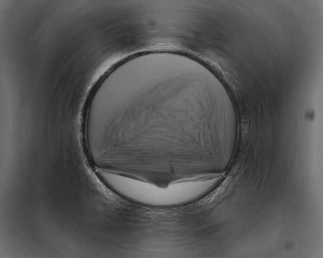 X0000098071422200804251428