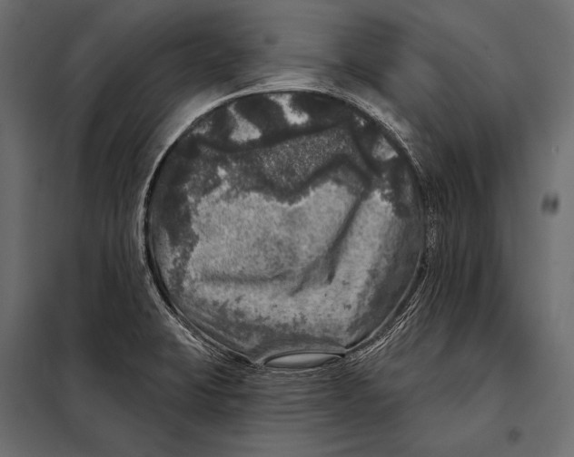 X0000098071423200804251428