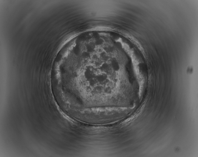 X0000098071425200804251428