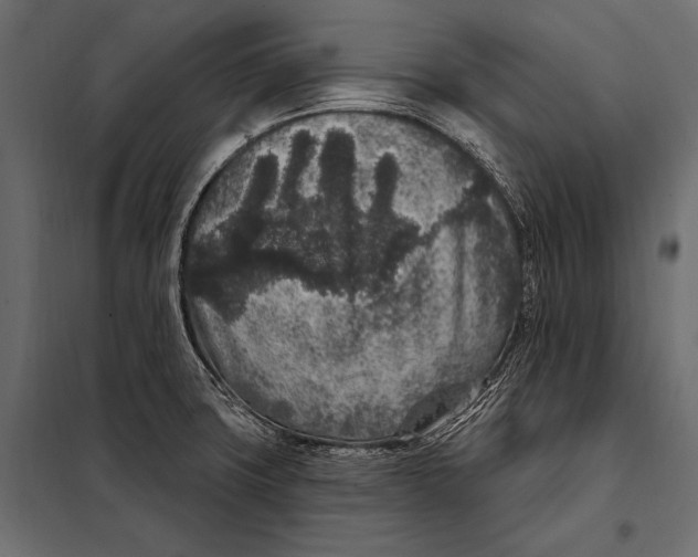 X0000098071427200804251428