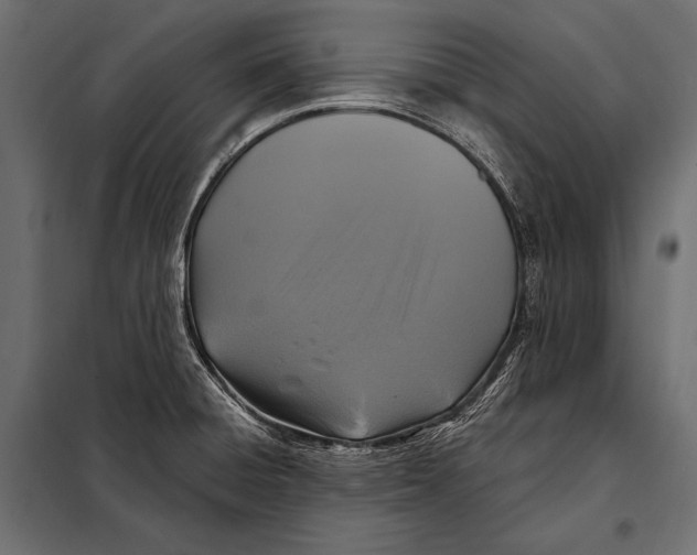 X0000098071428200804251428