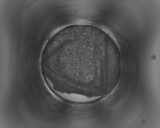 X0000098071429200804251428