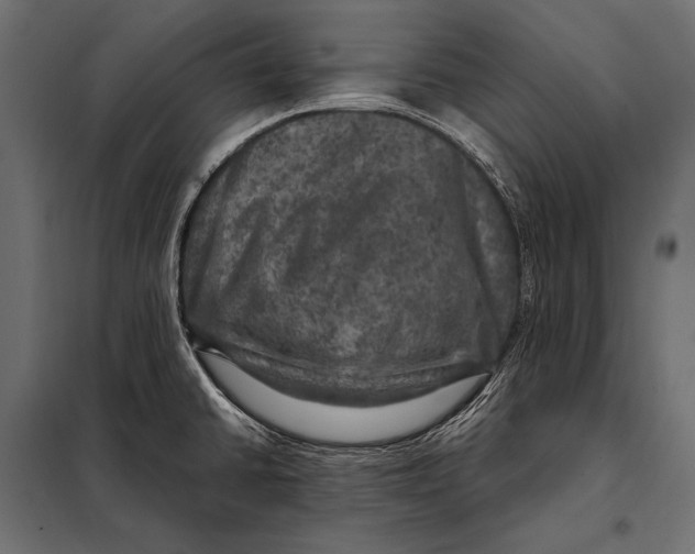 X0000098071430200804251428