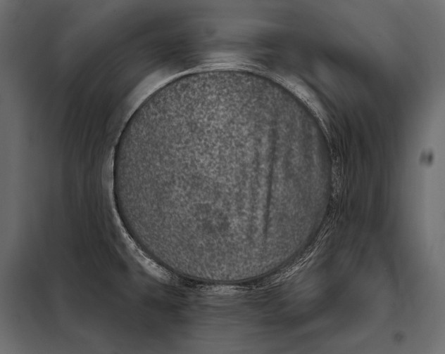 X0000098071431200804251428