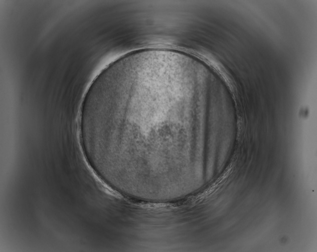 X0000098071432200804251428