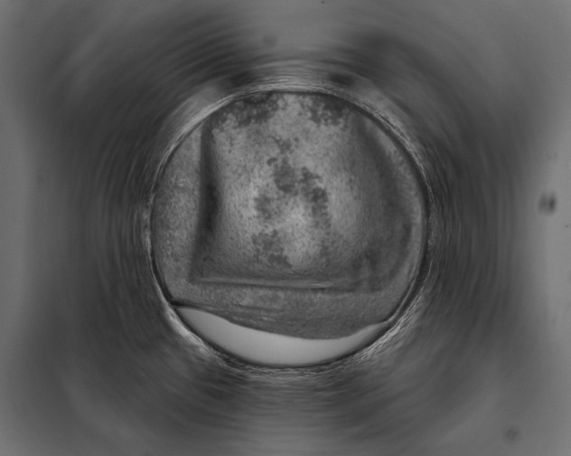 X0000098071433200804251428