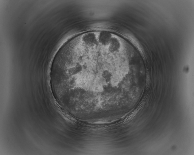 X0000098071435200804251428