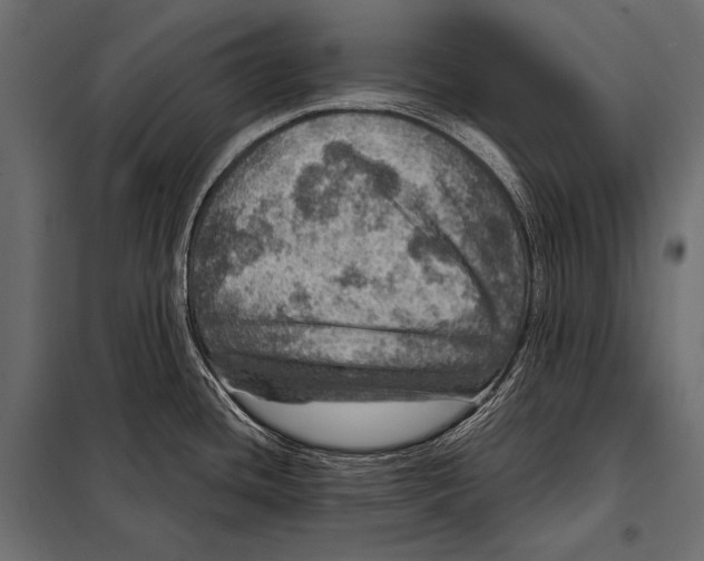 X0000098071436200804251428