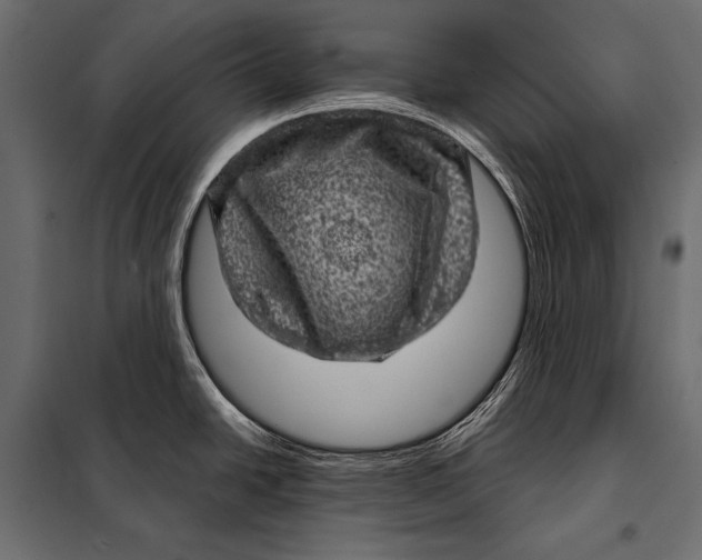 X0000098071438200804251428