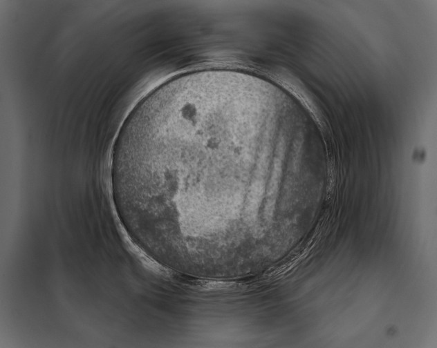 X0000098071439200804251428