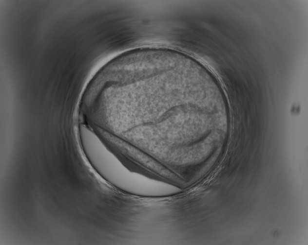 X0000098071440200804251428