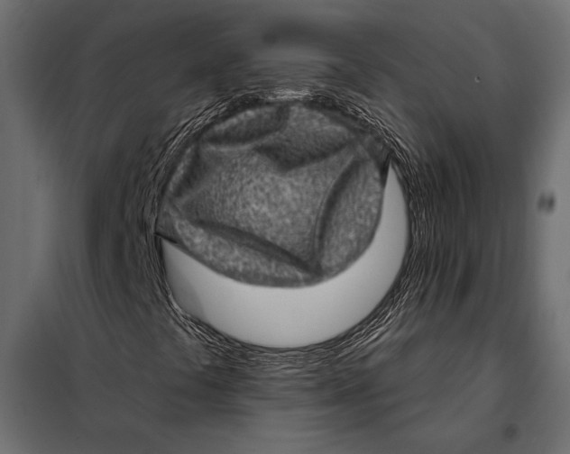 X0000098071441200804251427